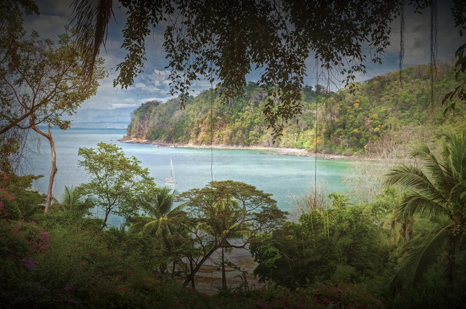 Forested Costa Rican coastline looking out over a quiet cove